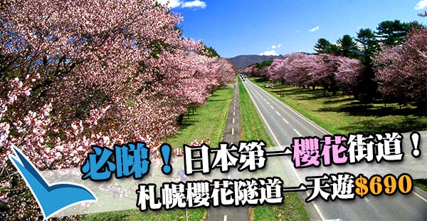 櫻の限定！日本第一的櫻花街道！北海道札幌超人氣櫻花隧道一天遊$690！