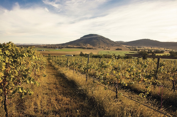 Scenic country landscapes surrounding a vineyard in Mudgee.