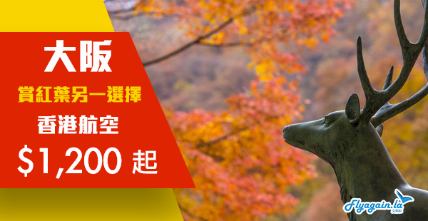 【大阪】賞紅葉另一選擇！香港航空來回大阪$1,200起！9月1日至12月18日出發