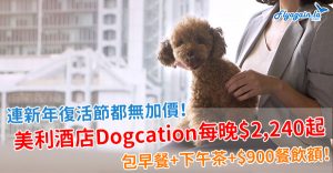 murray_dogcation