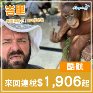 flight deal-已修復