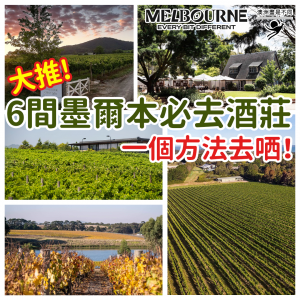 Blue and Yellow Travel Photo Collage Instagram Post