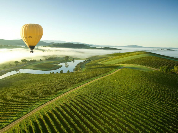 hot-air-balloon-over-yarra-valle
