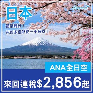 20241216_NHJPN-01web