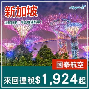 20241218_CXSIN-01web