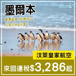 20241231_BIMEL-01Web