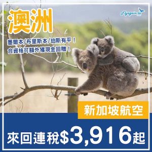 20250505_SQAUS-01web