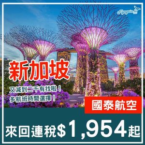 20250807_CXSIN-01web