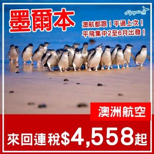 20250829_QFMEL-01web