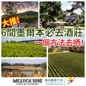 Blue and Yellow Travel Photo Collage Instagram Post