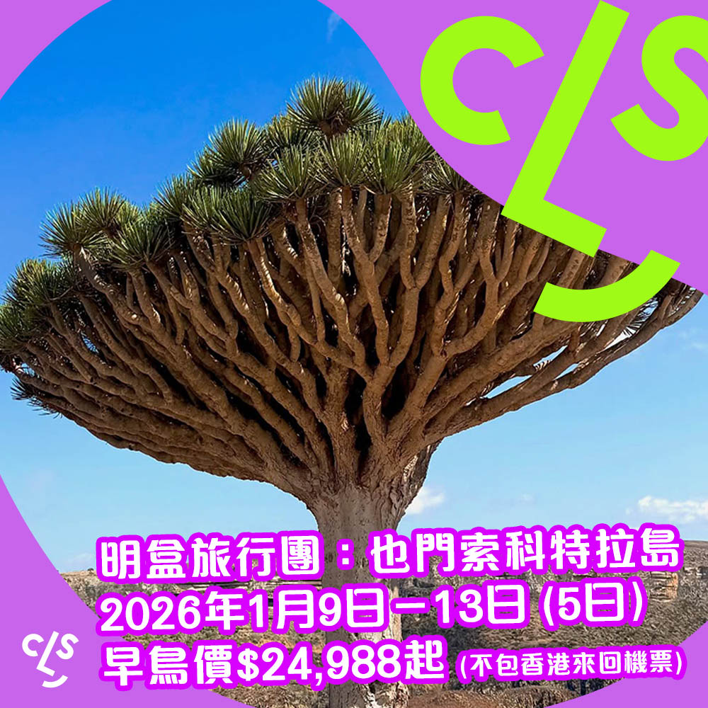 【旅行團】召集露營旅友睇龍血樹！人跡罕至！勁IGable！明盒旅行團也門索科特拉島！5天團費$24,988起，2026年1月9日出發