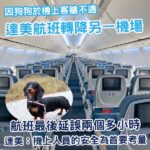 狗狗於機上突然出現嚴重不適 達美航班為牠改道