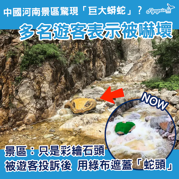 中國河南景區驚現「黃金蟒蛇頭」嚇壞遊客？