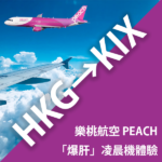 自費實測「爆肝」凌晨機 樂桃航空 (PEACH) 最晚凌晨機體驗