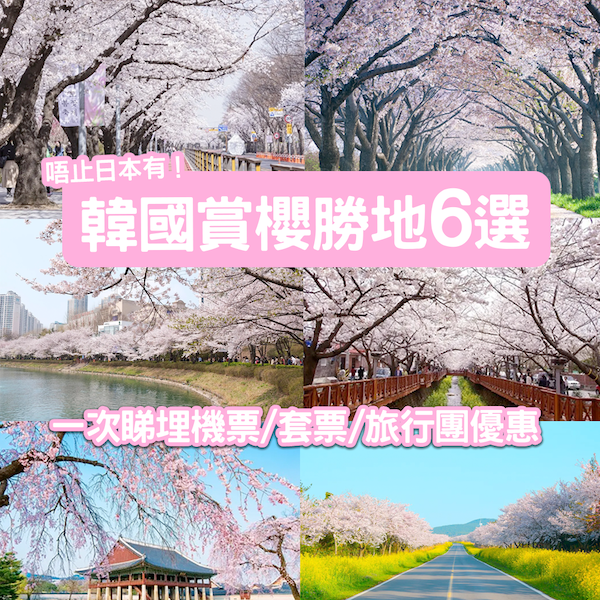【韓國】櫻花又點止日本？一文睇晒韓國賞櫻勝地+機票/套票/旅行團優惠！