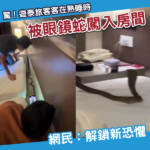 驚！遊泰旅客在酒店熟睡時 被眼鏡蛇闖入房間