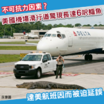 美國機場滑行道驚現長達6呎鱷魚 達美航班被迫延誤