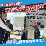 日本「貓站長」再現！崖邊鐵路靠11個月大貓貓救亡