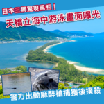 日本三景之一天橋立驚現熊蹤 警方監控6小時後麻醉捕獲